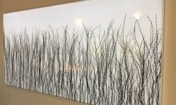 Lightpanel frameless avec décor Invision birch interrompu, illumination blanc-froid (5000 K), sans variateur